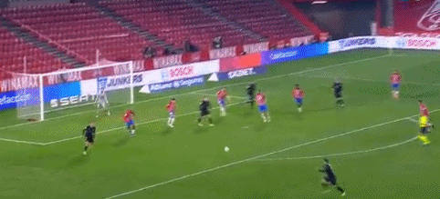 RNG旗下公司申请破产